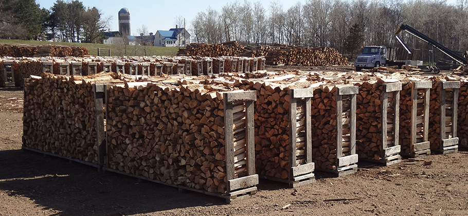 What Makes Minnesota Firewood Delivery The Best in Midwest
